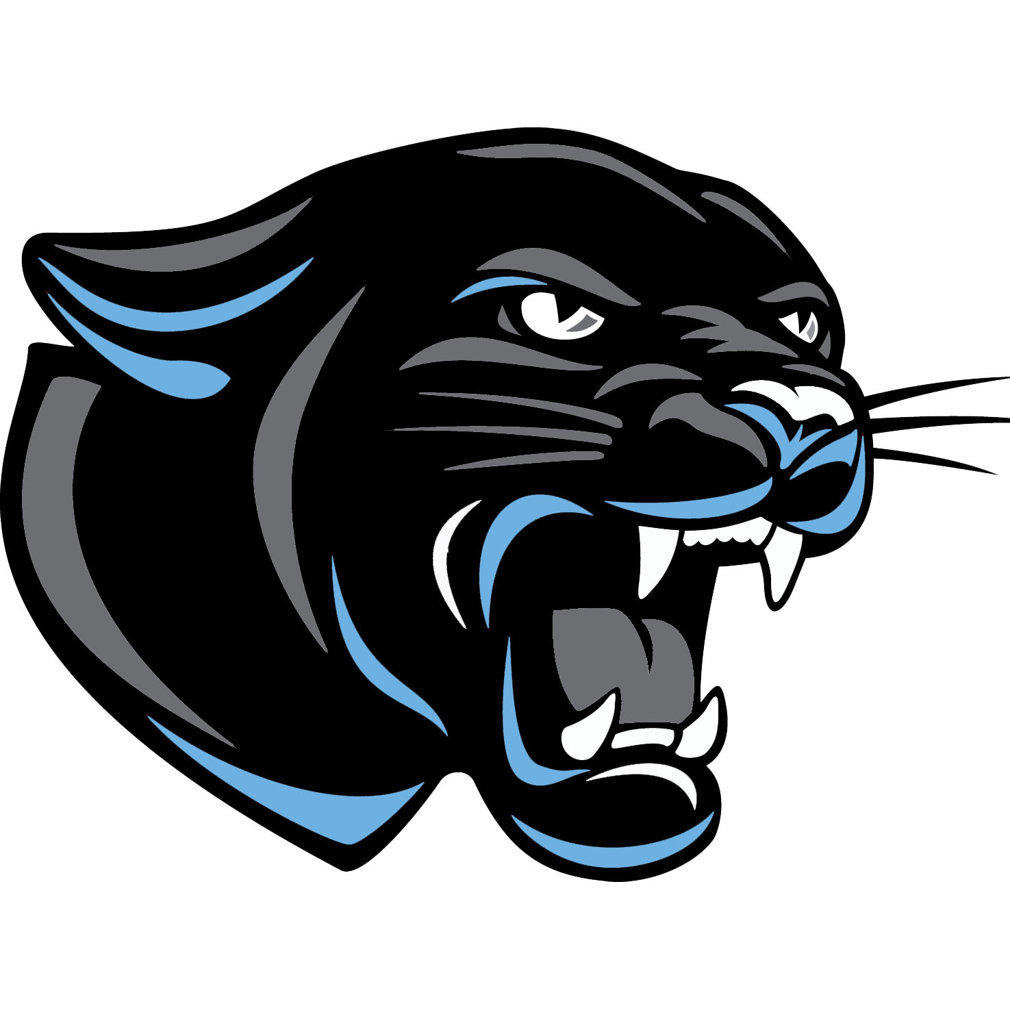 Grundy County with Newtown-Harris